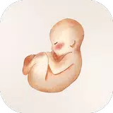 Blum APK