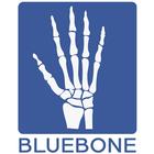 BLUE BONE ikona