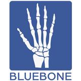 BLUE BONE