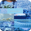 Blue wallpapers