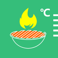 Oven probe