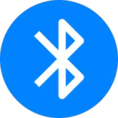 Bluetooth device auto connect