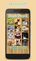 Cats Slide Puzzle Game screenshot 1