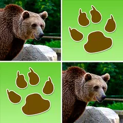 Wild Animals Memory Game APK 下載