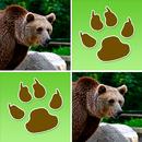Wild Animals Memory Game APK