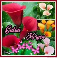 Guten Morgen 스크린샷 3