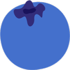 APK Blueberry VPN