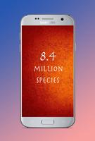 Story of 8.4 million species of life Plakat