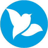 Bluebird 圖標