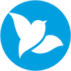 Bluebird APK