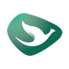 BigBird Access - Driver simgesi