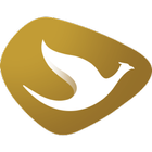 GoldenBird Access - Driver ícone