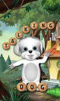 Talking Dog poster
