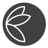 Genesis icon