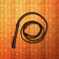 Crackling Whip - Prank App!