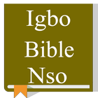 Nso Igbo Bible icône