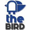 Blue Corvus - "The Bird"