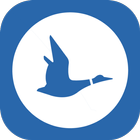 Blue Duck icône