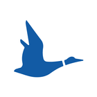 Blue Duck icon