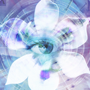 Blue Iris APK