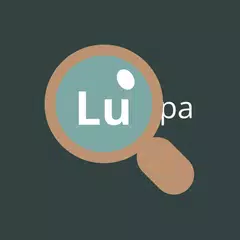 Magnifying Glass with Light APK download
