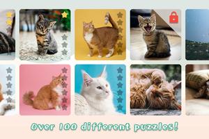Cats Mania Jigsaw Puzzles 海报