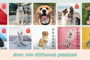 Dogs Mania Jigsaw Puzzles Affiche