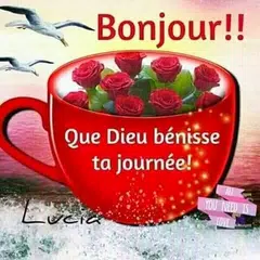 Скачать Bonjour Bonsoir Bonne Nuit APK