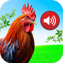 Animal Ringtones: Ai Wallpaper APK