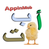 Arabic Alphabets - letters Zeichen