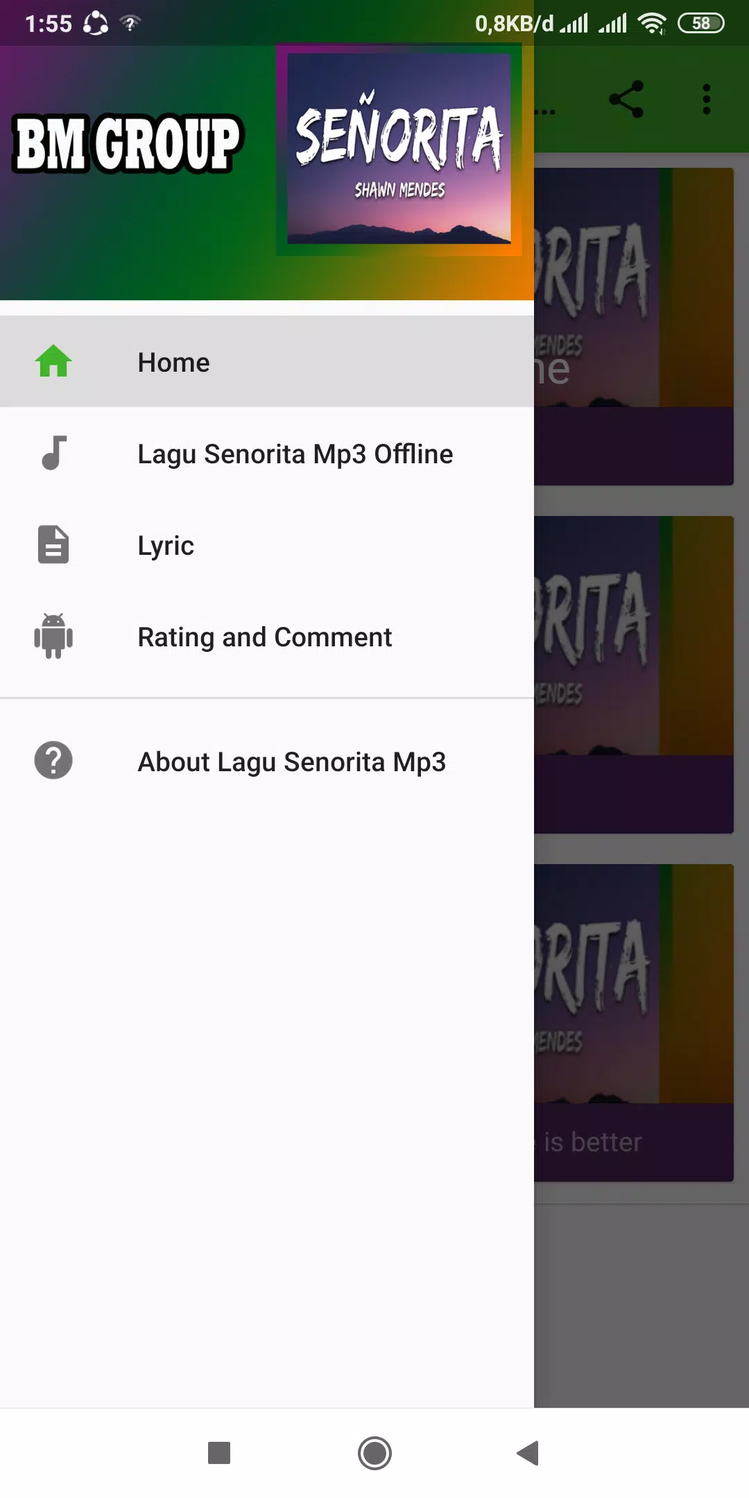 Song Senorita Mp3 Offline APK for Android Download