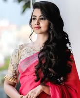 Anupama Parameswaran Wallpapers HD โปสเตอร์