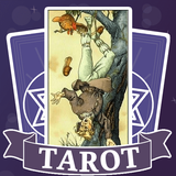 Daily Tarot иконка