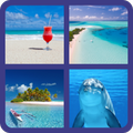 4 Pics 1 Word