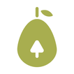 Avocado Markt