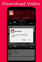 download Video Downloader free screenshot 2