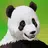 Abandoned Zoo: Pandas APK