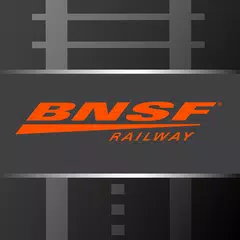 RailPASS Icon