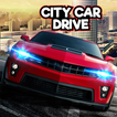 ”City Car Driving Simulator