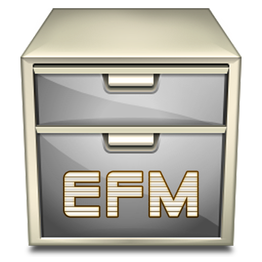 Менеджер EFM файла