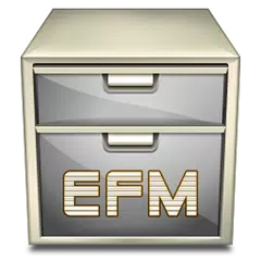 Менеджер EFM файла