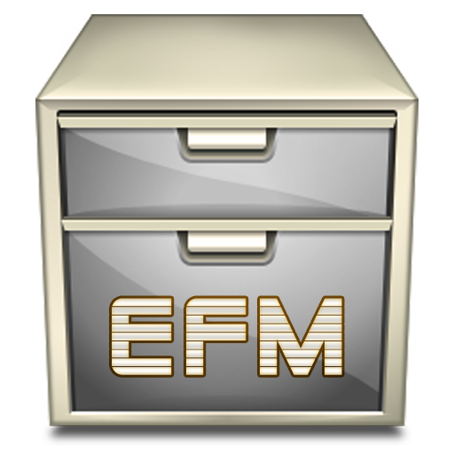 Easy File Manager (EFM)