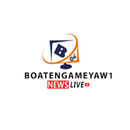 BoatengAmeyaw1 News App APK