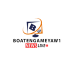 BoatengAmeyaw1 News App icône