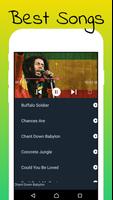 برنامه‌نما Bob Marley All Songs - Offline عکس از صفحه