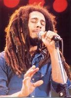 Bob Marley Best Songs 2020 - Offline capture d'écran 2