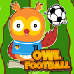 Super Owl Football Fun