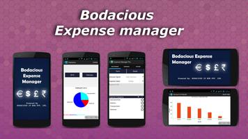 Bodacious Expense Manager capture d'écran 1