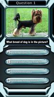 Dog Breed Animal Quiz Game imagem de tela 3