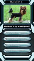 Quiz des animaux: Chien jeu capture d'écran 3